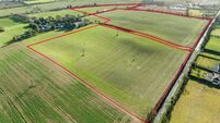 'Well cared for' 51-acre Carlow parcel up for auction