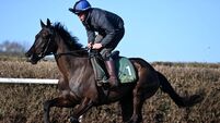 Darren Norris: Galopin Des Champs will show class to make Gold Cup history