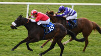 Orandi pounces late for Irish Lincolnshire honours at the Curragh