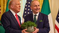 Terry Prone: Irish identity was riven with irony as the shame was too real to bear