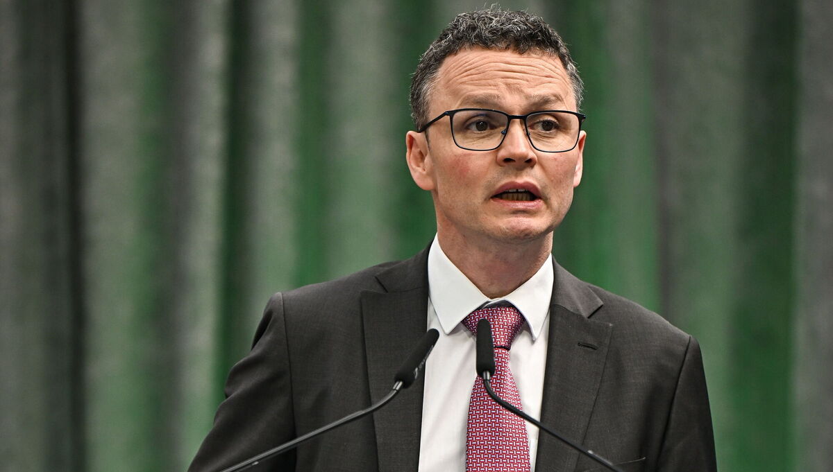 Minister Patrick O'Donovan said it is 'alarming to see a young woman targeted in this way'. File Picture: Sam Barnes/Sportsfile Minister Patrick O'Donovan said it is 'alarming to see a young woman targeted in this way'. File Picture: Sam Barnes/Sportsfile
