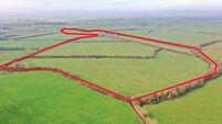 38ac Limerick farm 'as flat as a billiard table' already under offer