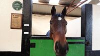 I Am Maximus heads 57 still in Grand National mix