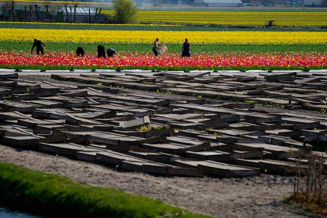 Netherlands Weather