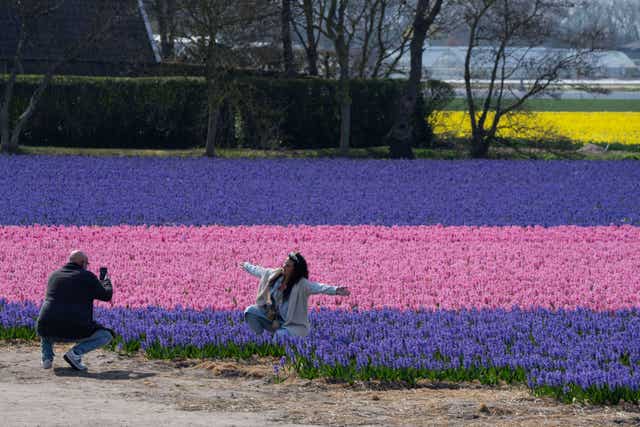 Netherlands Weather